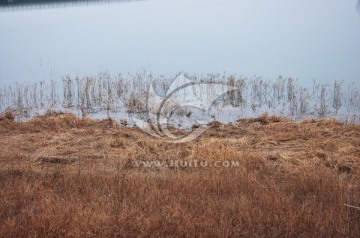 小河 河边风景