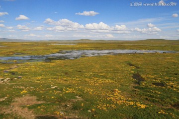 湿地 草地 四川石渠