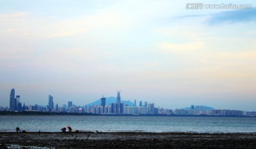 深圳湾