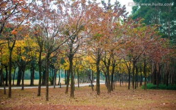 广州南沙滨海公园风景