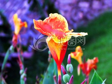花