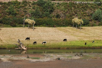 田园风光