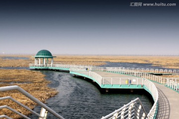湿地 水 栈桥