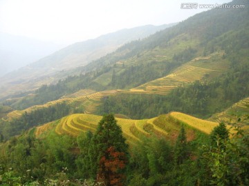 龙脊梯田