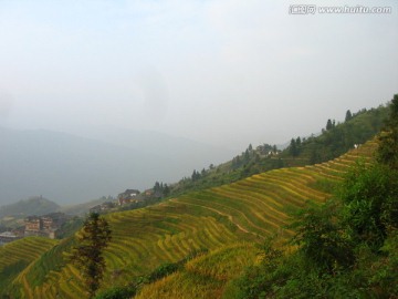 龙脊梯田