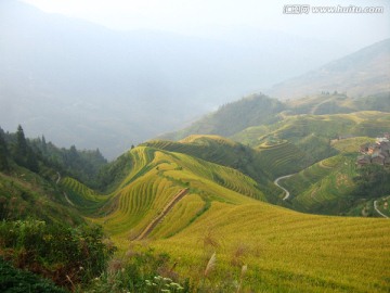 龙脊梯田