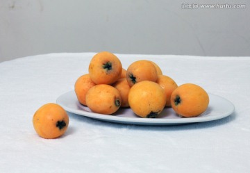 琵琶