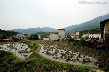 田园