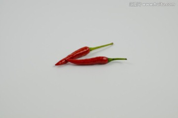 小红椒