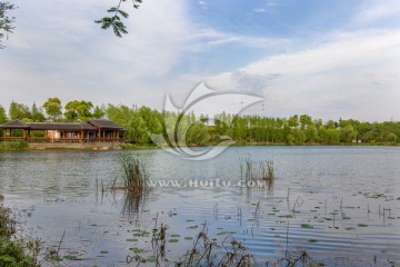 初夏的公园 园林水景