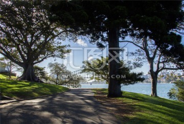 悉尼城市公园湖边的林荫路