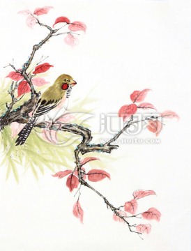 珍珠鸟 枫叶 国画