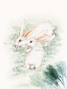大白兔 兔子 国画