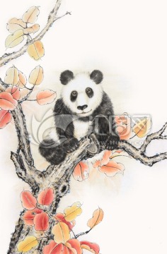大熊猫 红叶 爬树 国画
