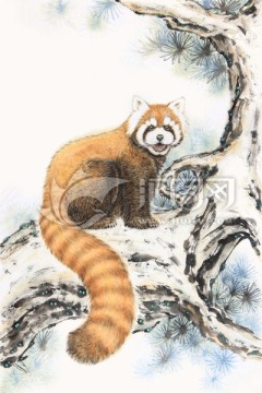 小熊猫 古松 国画