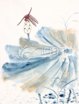 红蜻蜓 荷花 荷叶 写意 国画