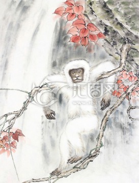 白猿 猿猴 红叶 国画 工笔