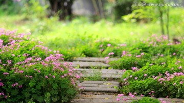 花草地