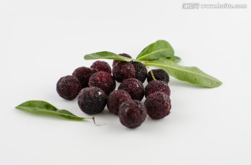 杨梅