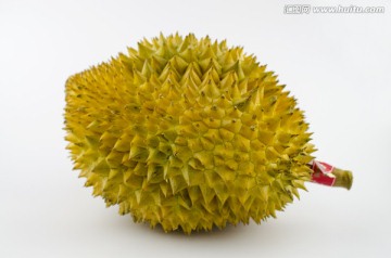榴莲