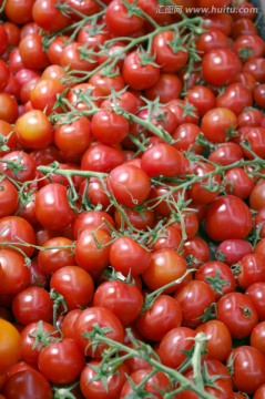 圣女果 小西红柿