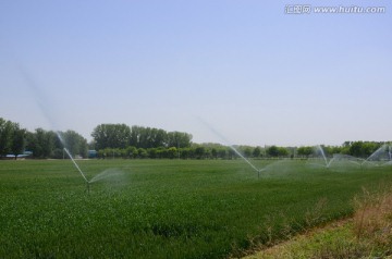 小麦农田灌溉