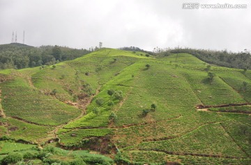 努瓦勒艾利耶山间景色