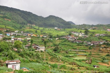 努瓦勒艾利耶山间景色