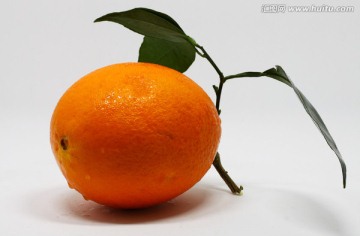 橙子 纽柑