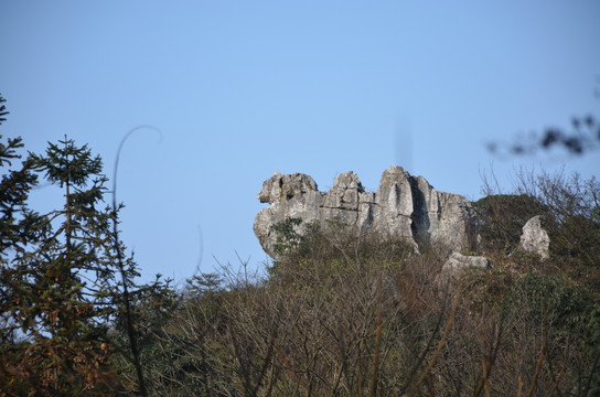 骆驼石头景观