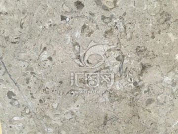 苏格兰灰