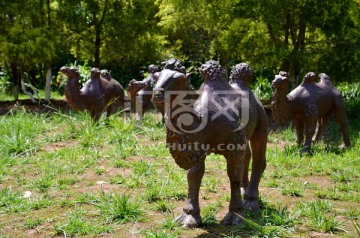骆驼 驼队雕塑