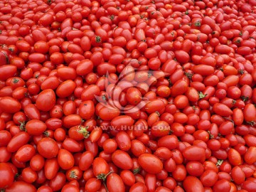 西红柿圣女果