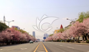 春暖花开
