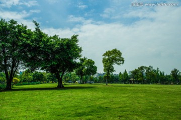 草坪 树木