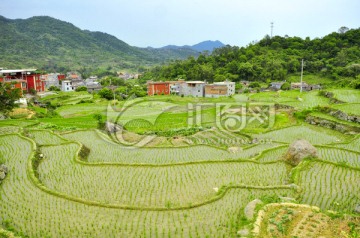 泉州地区的乡村风光