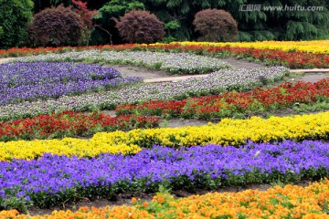 花田