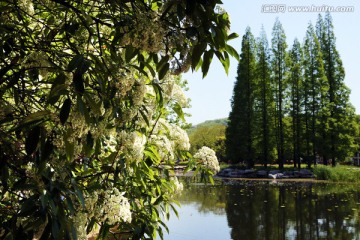 湖光山色