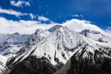 青藏雪山