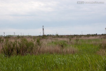 湿地油田作业井