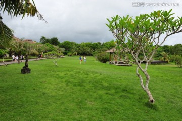 草坪 巴厘岛风气