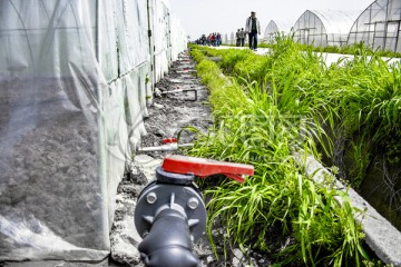 农作物种植大棚排水系统装置