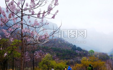 雨中辉县万仙山风景