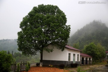 武宁青山寺