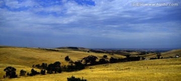 澳大利亚草原