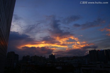 夕阳红