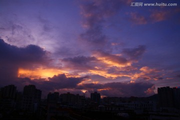 夕阳红