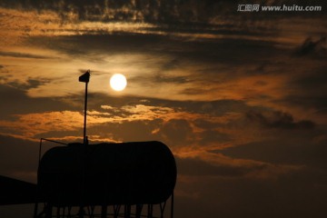 夕阳红