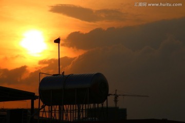 夕阳红