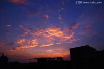 夕阳红